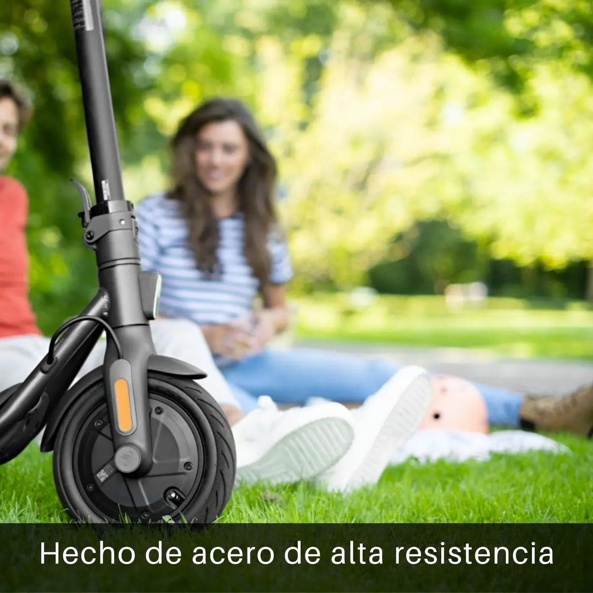 Scooter Eléctrico Segway F30 plegable Motor de 300W