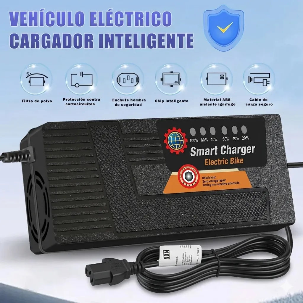 Cargador Universal Rápido 48v20a Para Bicicleta Eléctrica