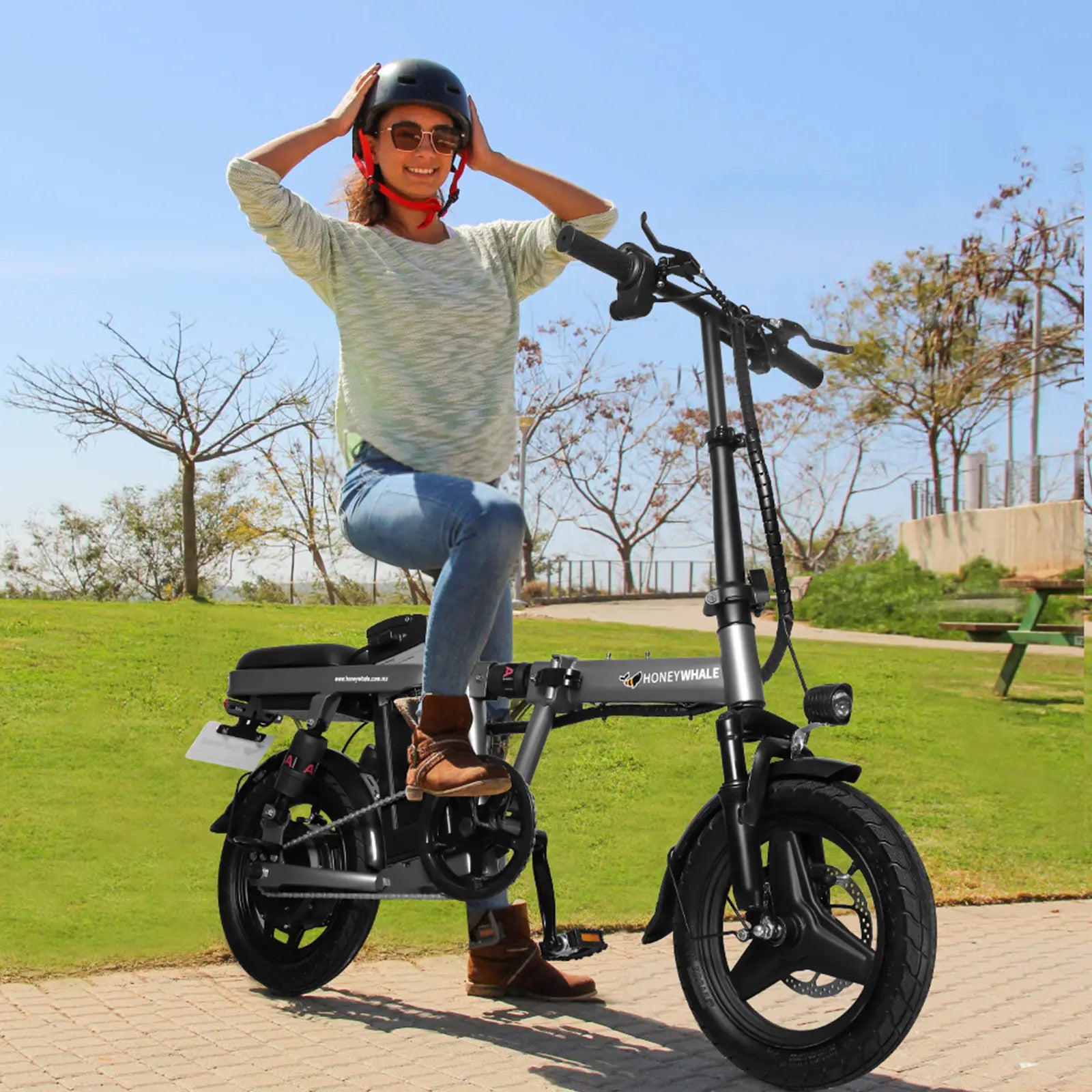 Bicicleta Eléctrica Plegable Honey Whale S6-S Pro